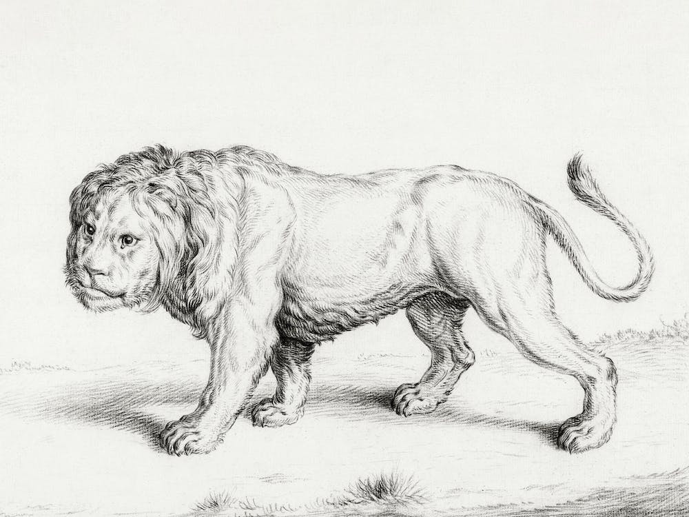 Lion 1, Jean Bernard