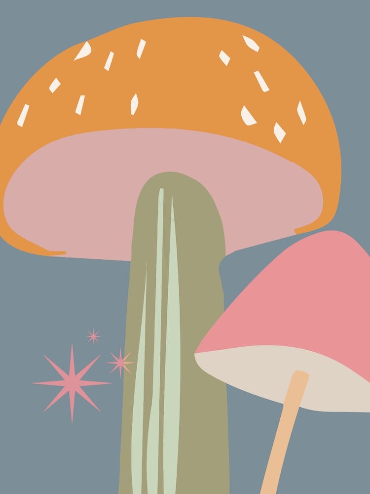 Mushroom Print Colourful Wall Art