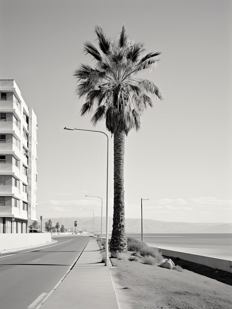 Limassol, Cyprus, Black And White Photography 2