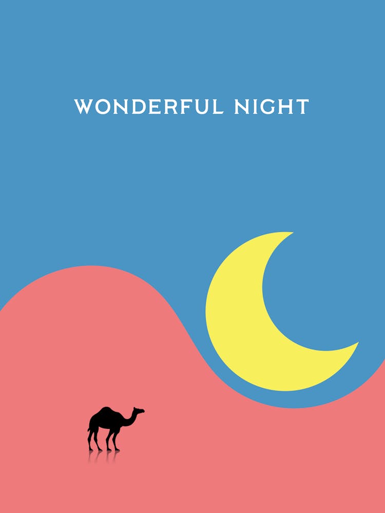 WONDERFUL NIGHT