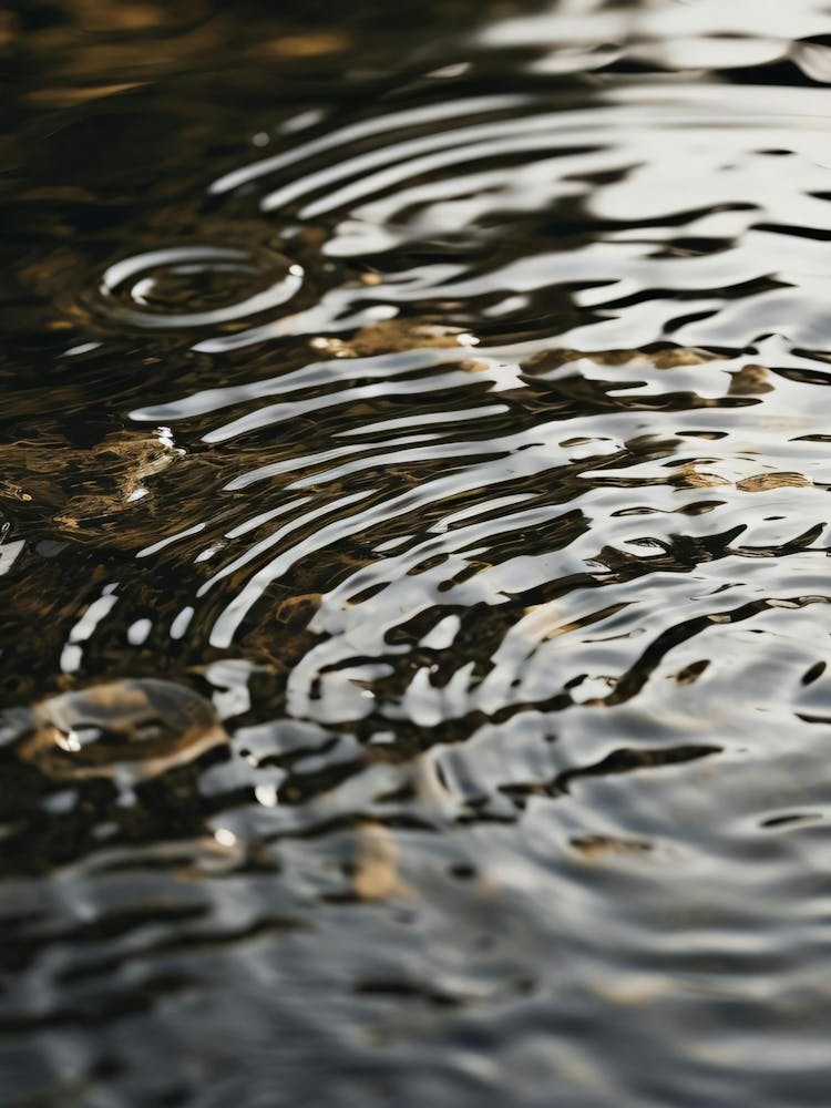 Ripples In The Water 4