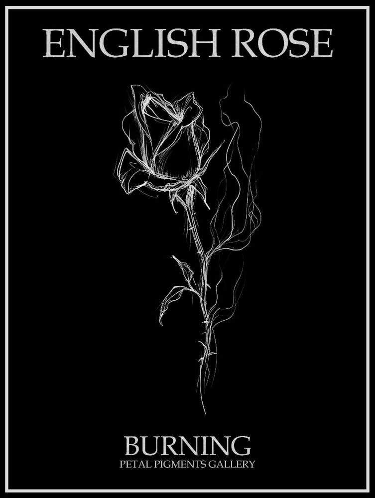 English Rose Burning Line Drawing 3 Poster Inverted