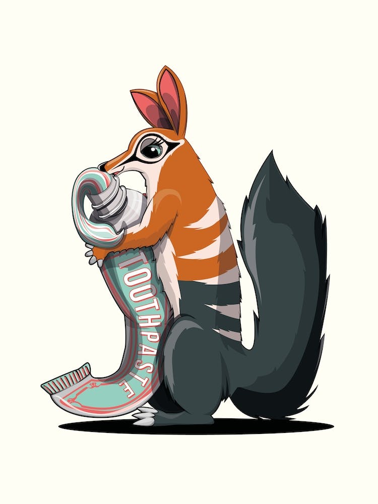 Numbat Cleaning Teeth