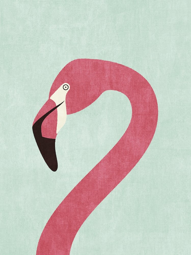 Fauna Flamingo