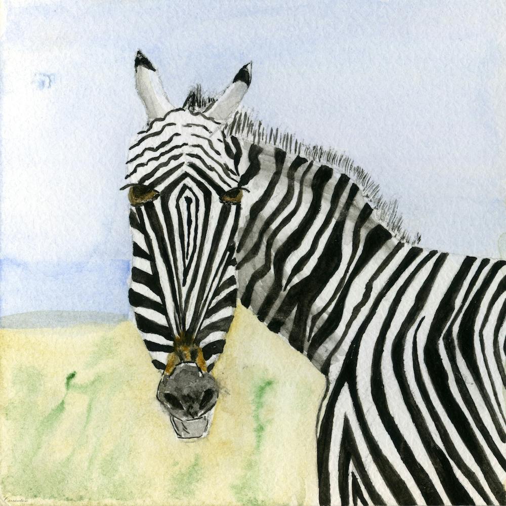 Zebra Watercolor Painting