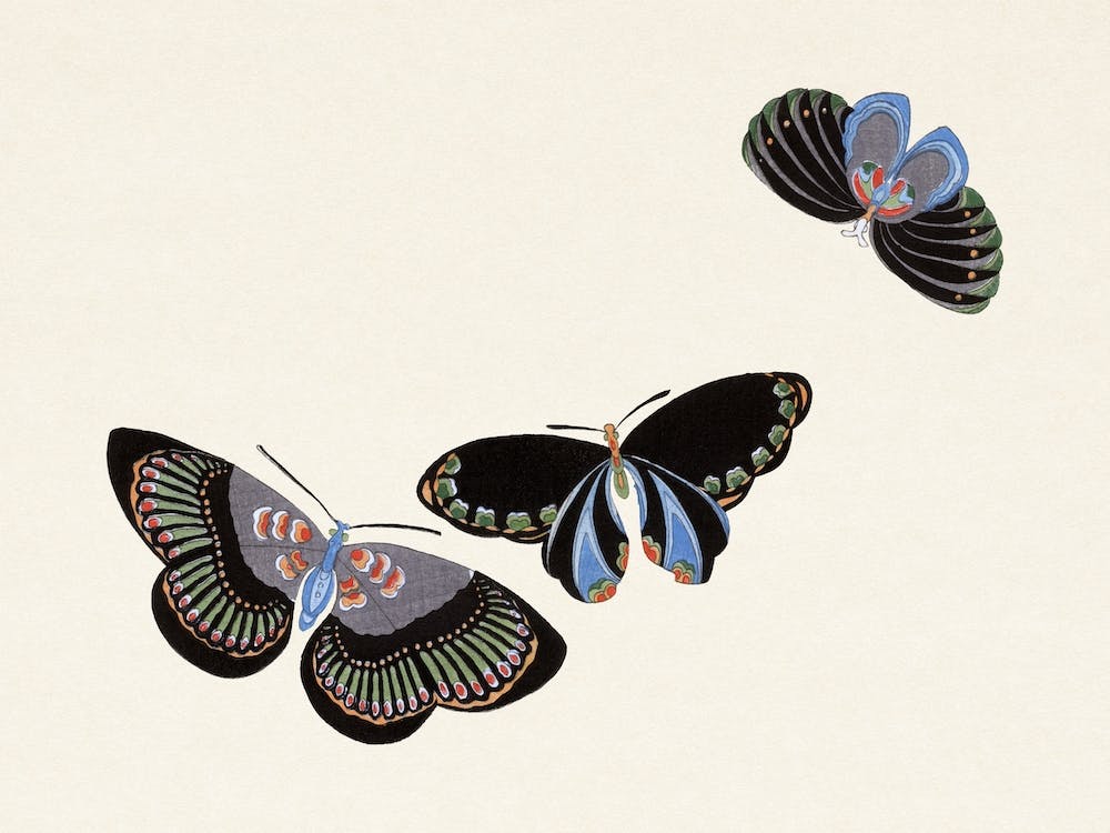 Birds From Momoyogusa –Flowers Of A Hundred Generations, Kamisaka Sekka (29)