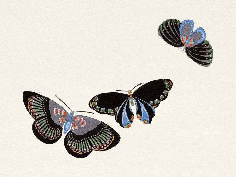 Birds From Momoyogusa –Flowers Of A Hundred Generations, Kamisaka Sekka (29)
