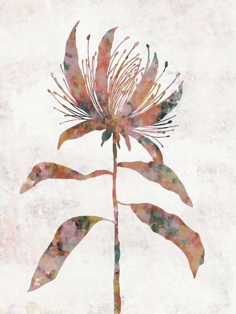 Plante Acrylique