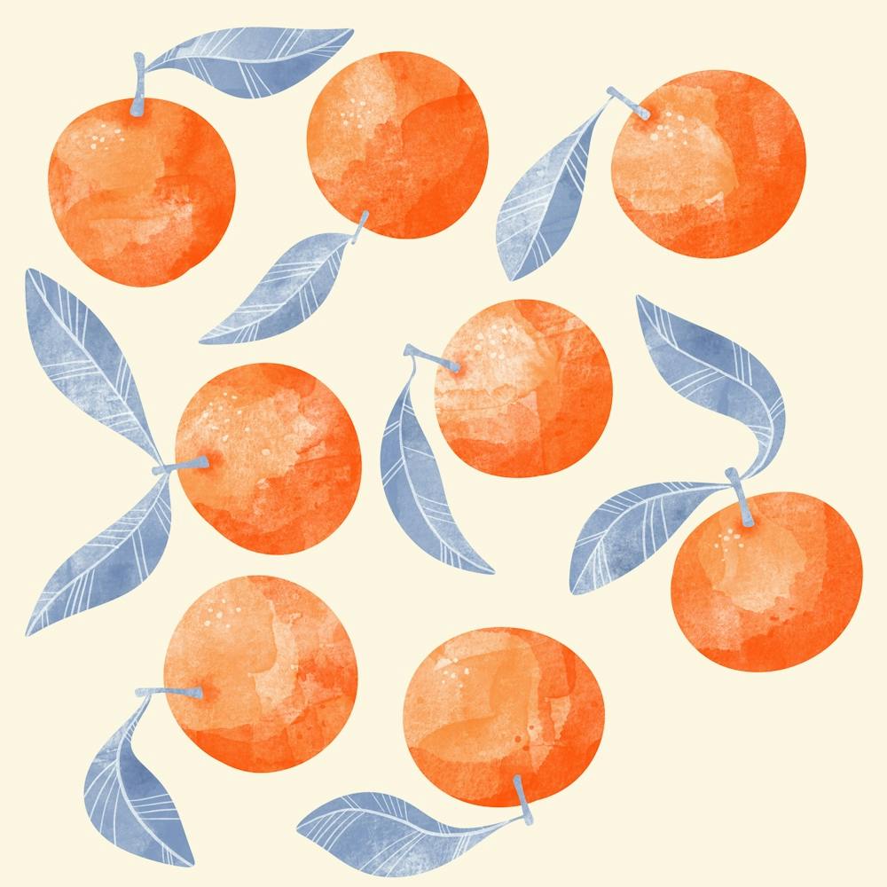Citrus Oranges 1