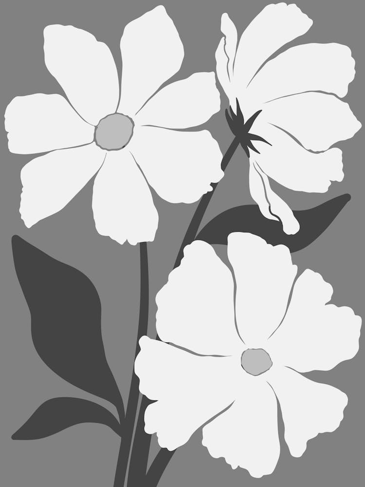 White Flowers