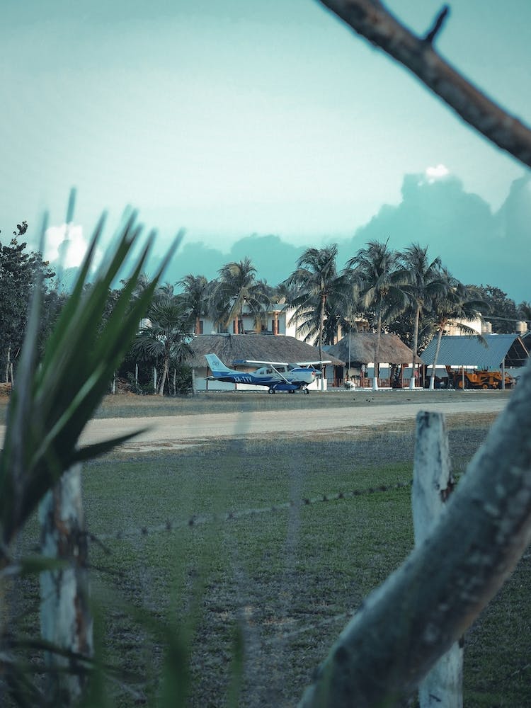 Airfield Amidst The Palms Mexico