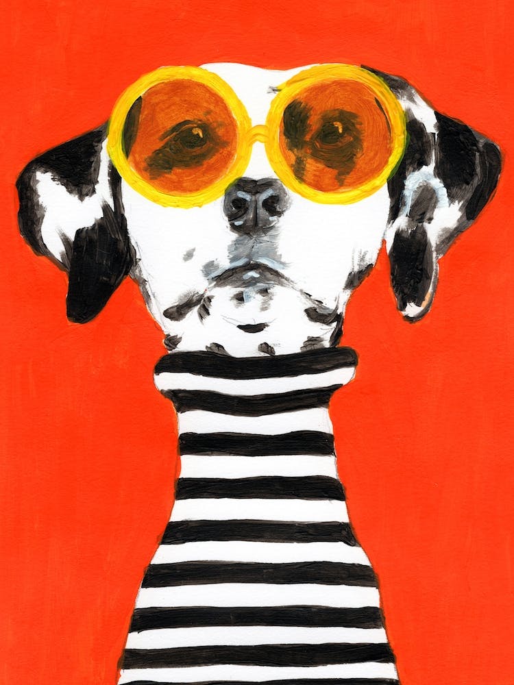 Stripy Dalmatian
