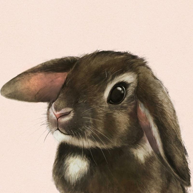 Baby Bunny Square