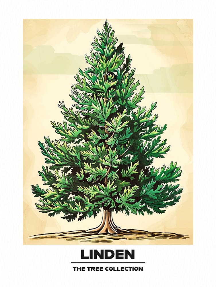 Linden Tree Storybook Illustration 1 Poster