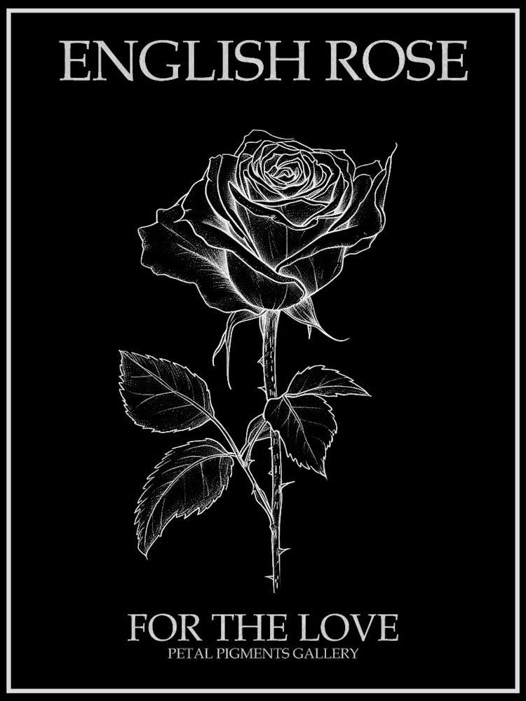 English Rose Black And White Line Drawing 4 Poster Inverted