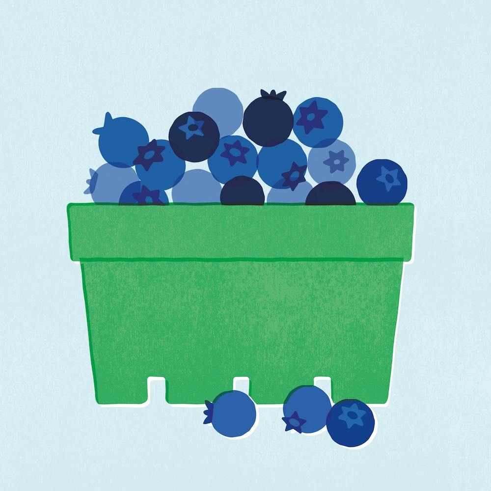 Blueberry Square