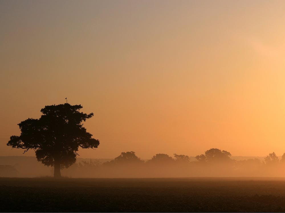 Brume de l'aube - Essex England