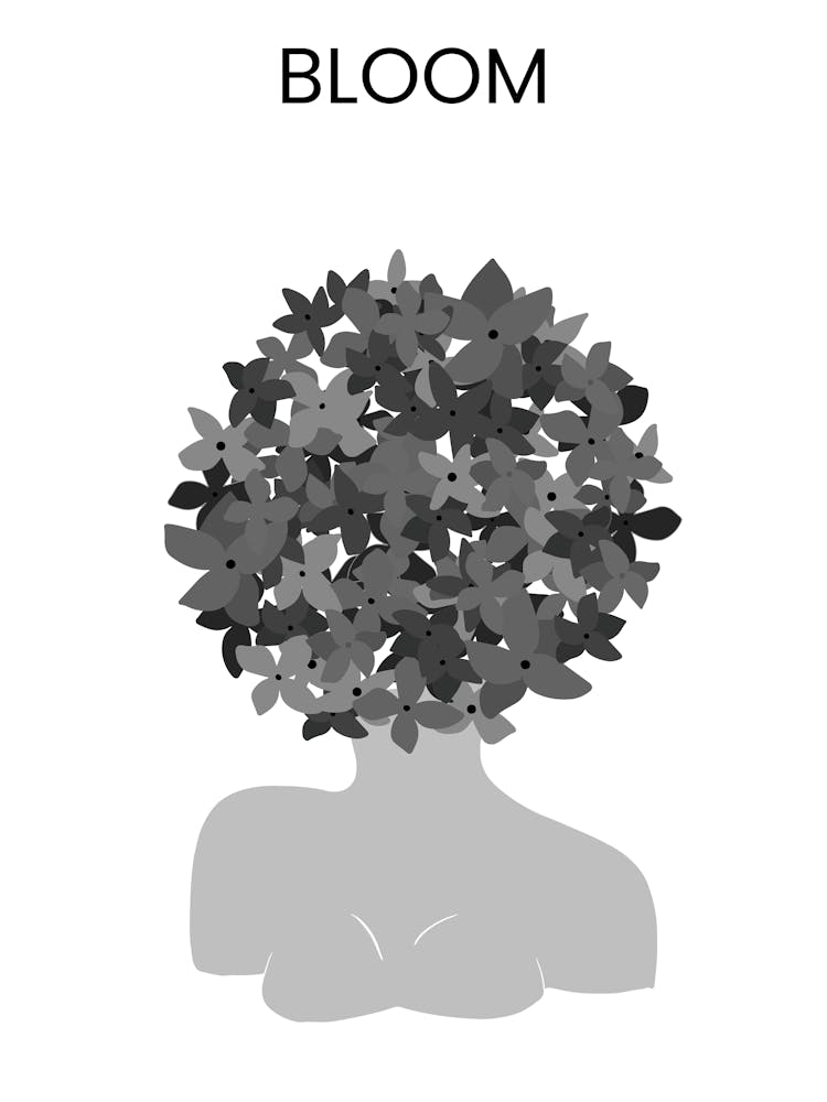 Bloom