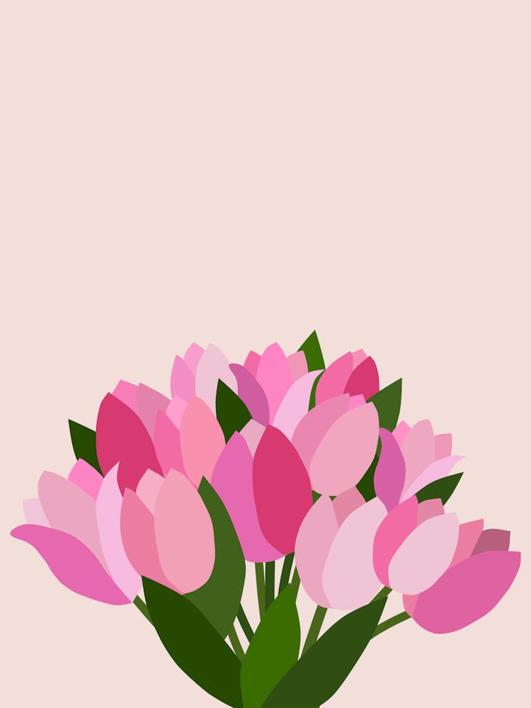 Fresh Tulips - Pink Flowers