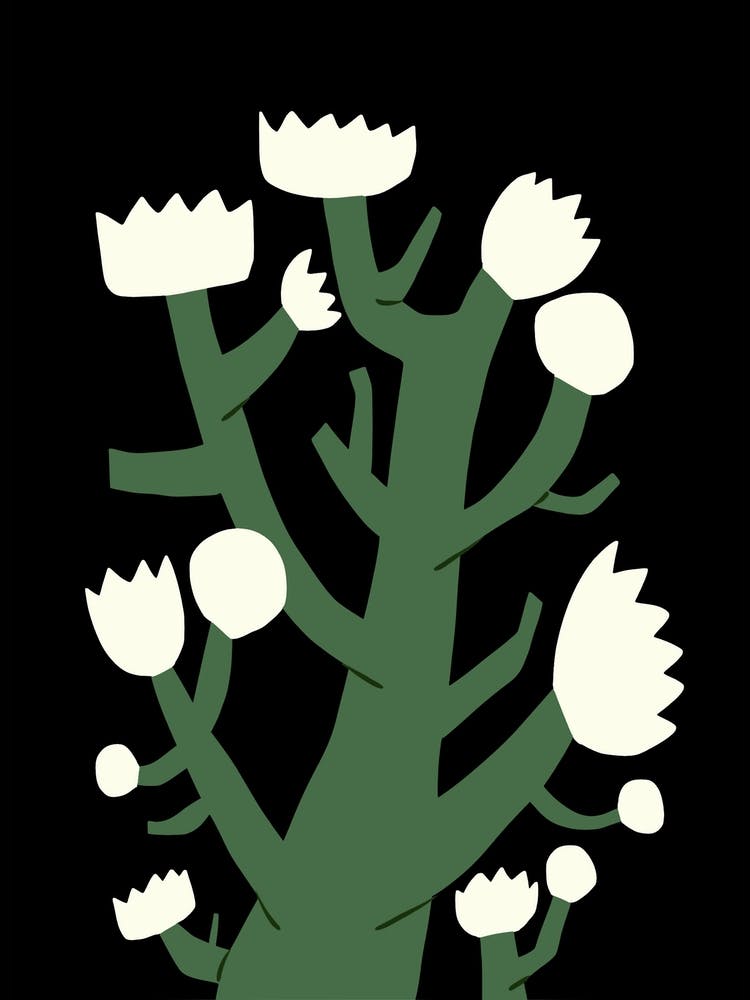 Nocturnal White Blossom