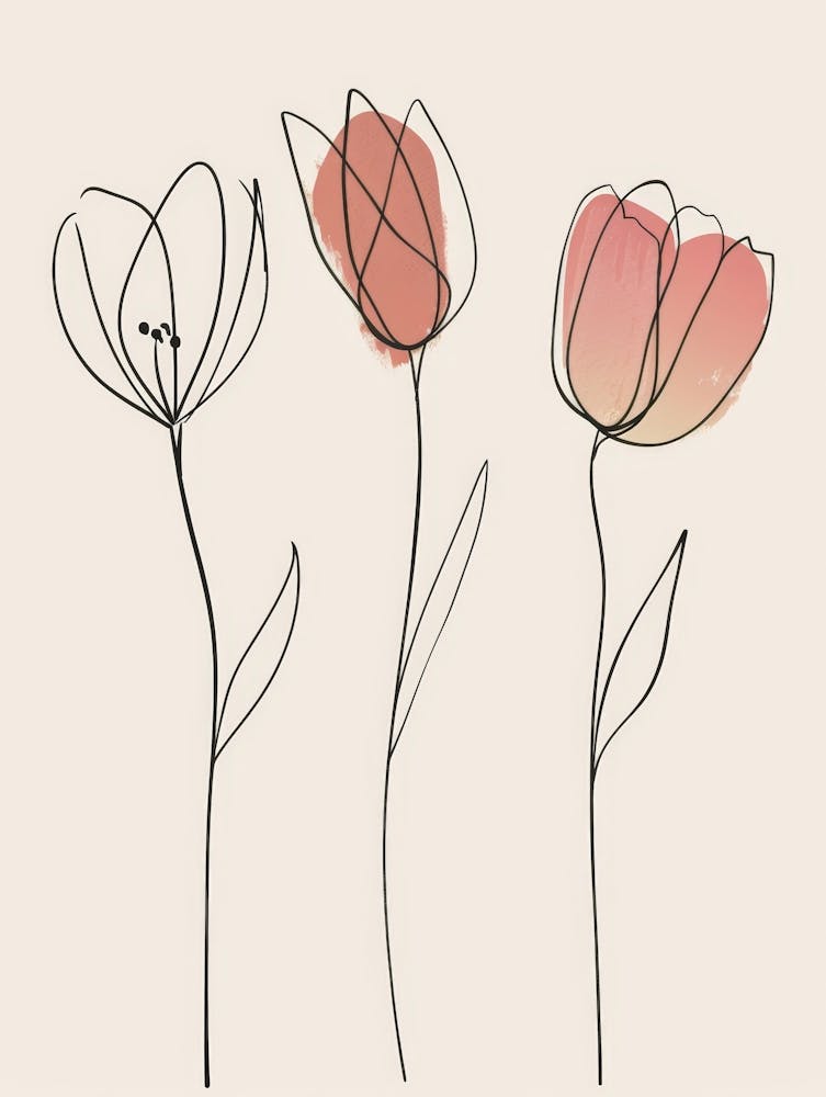 Tulips 27