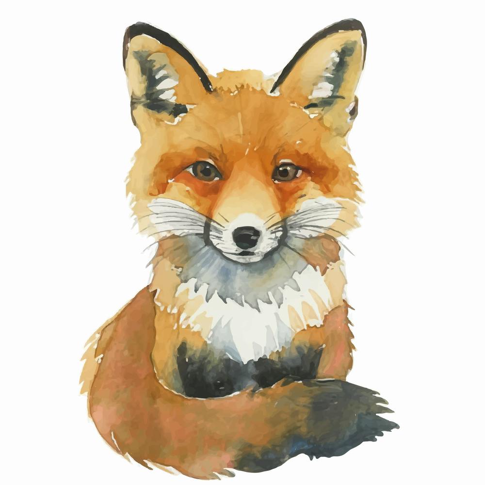 Fox Watercolor Painting