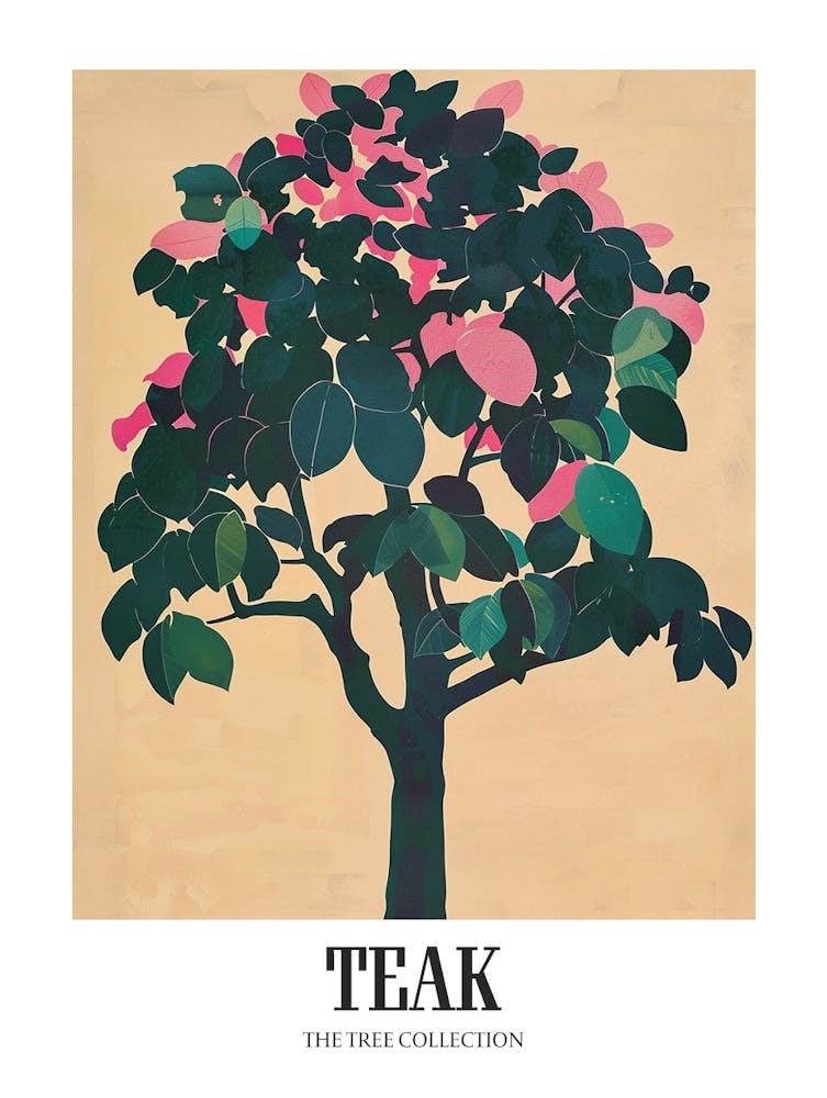 Teak Tree Colourful Illustration 2 Poster