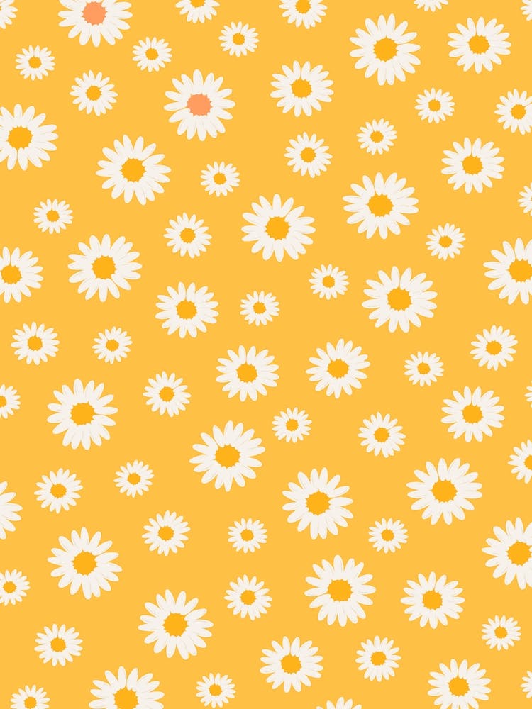 Yellow Daisies