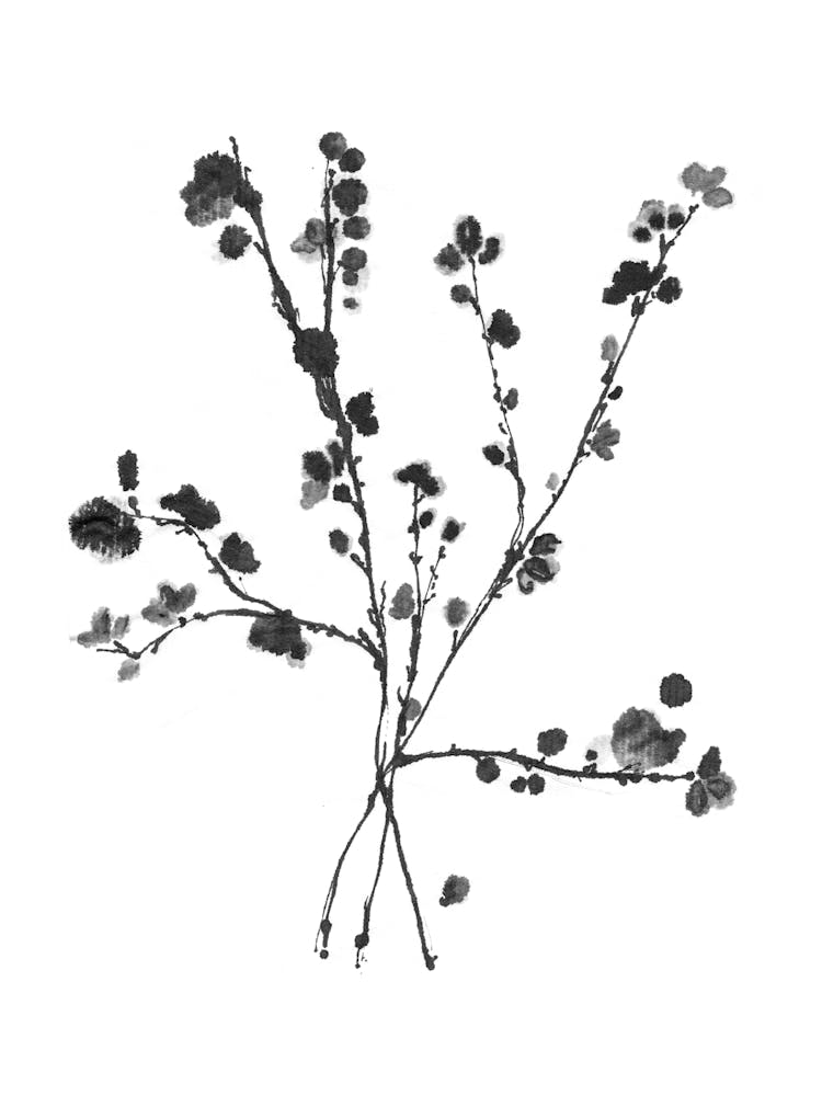 Apple Blossom Flowers