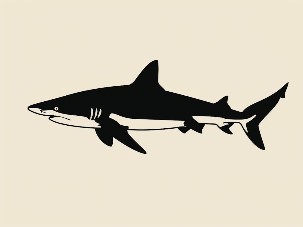 Requin de Récif à Pointe Blanche Requin Requin Silhouette 4