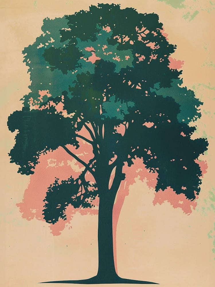 Boxwood Tree Colourful Illustration 4