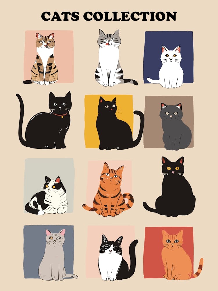 Cats Collection Illustration