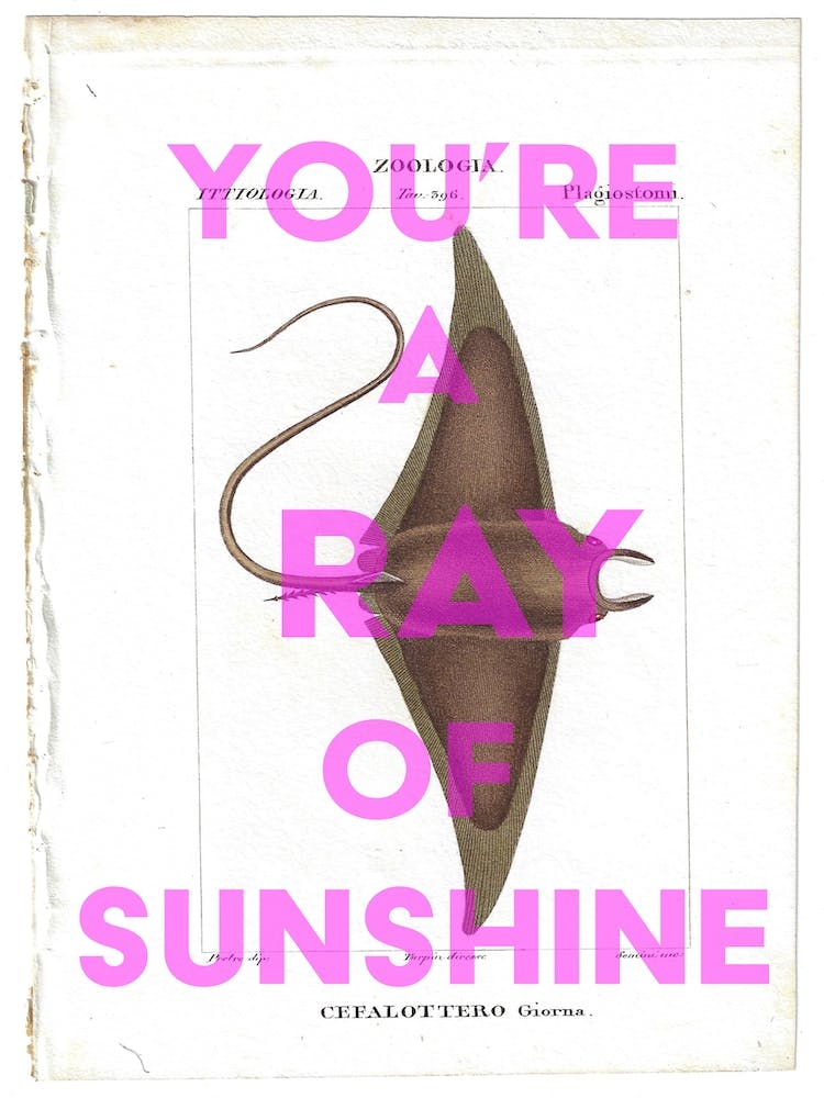 You're A Ray Of Sunshine Vintage