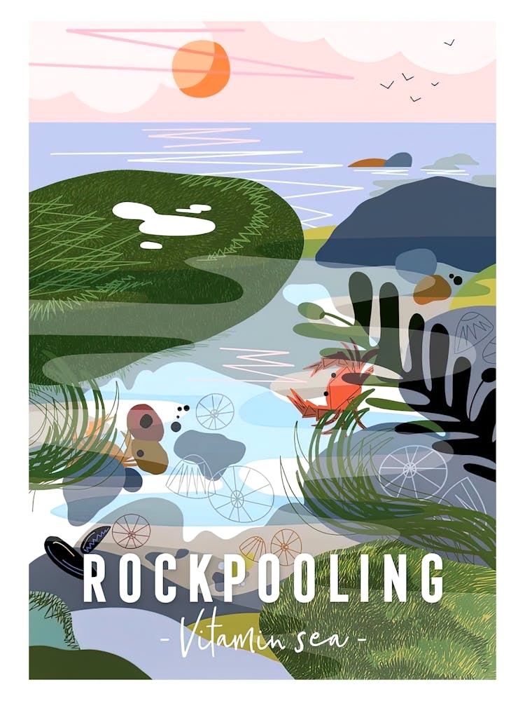 Rockpooling Vitamin Sea