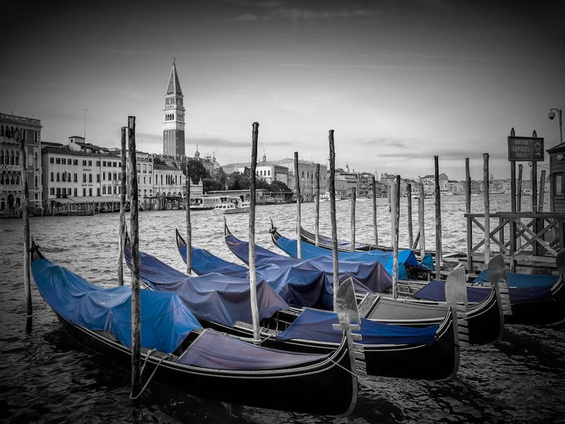 VENICE Grand Canal And St Mark's Campanile 1