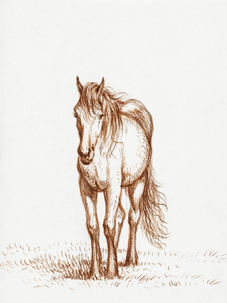 Standing Horse (1816) By Jean Bernard