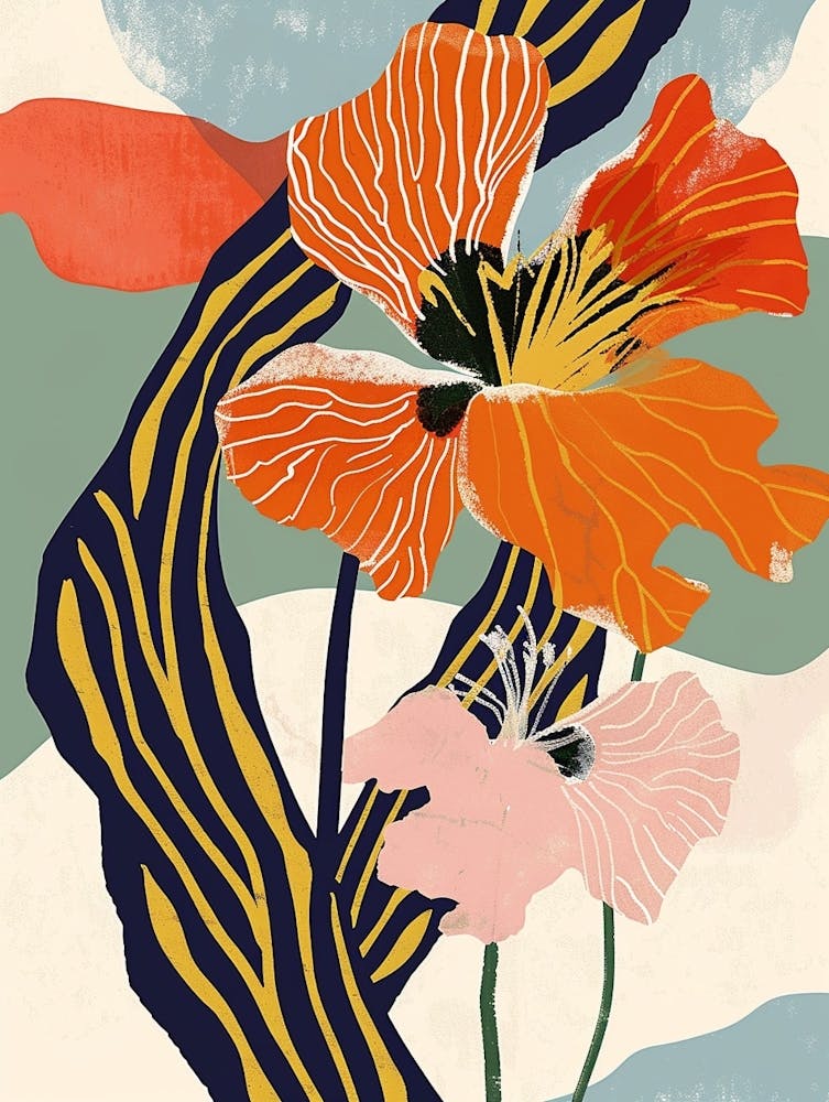 Colourful Flower Illustration Nasturtium 1