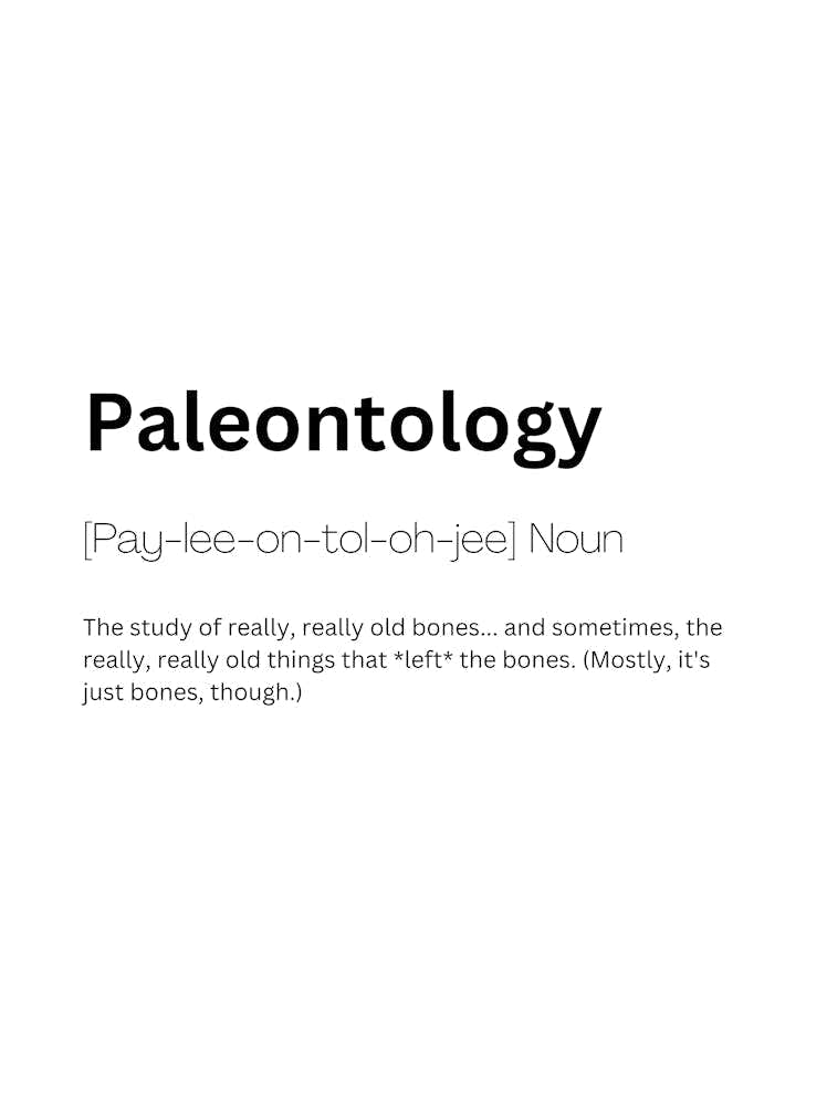 Paleontology Definition Meaning