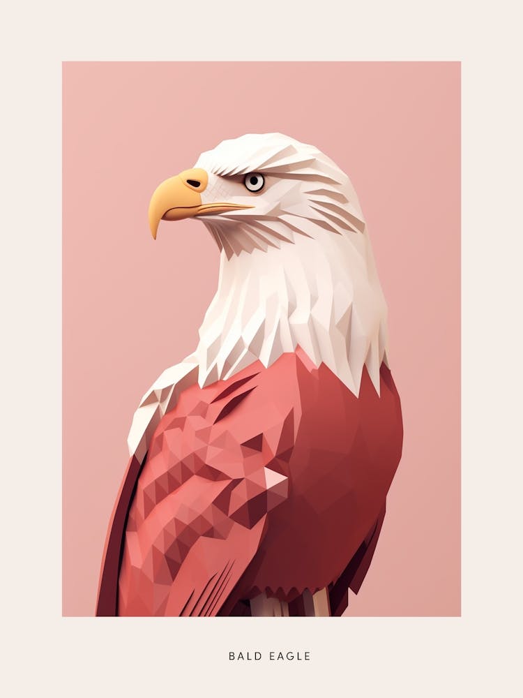 Minimalist Bald Eagle 3 Bird Poster