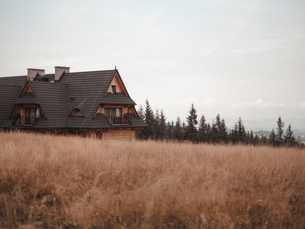 Big Meadow Cabin