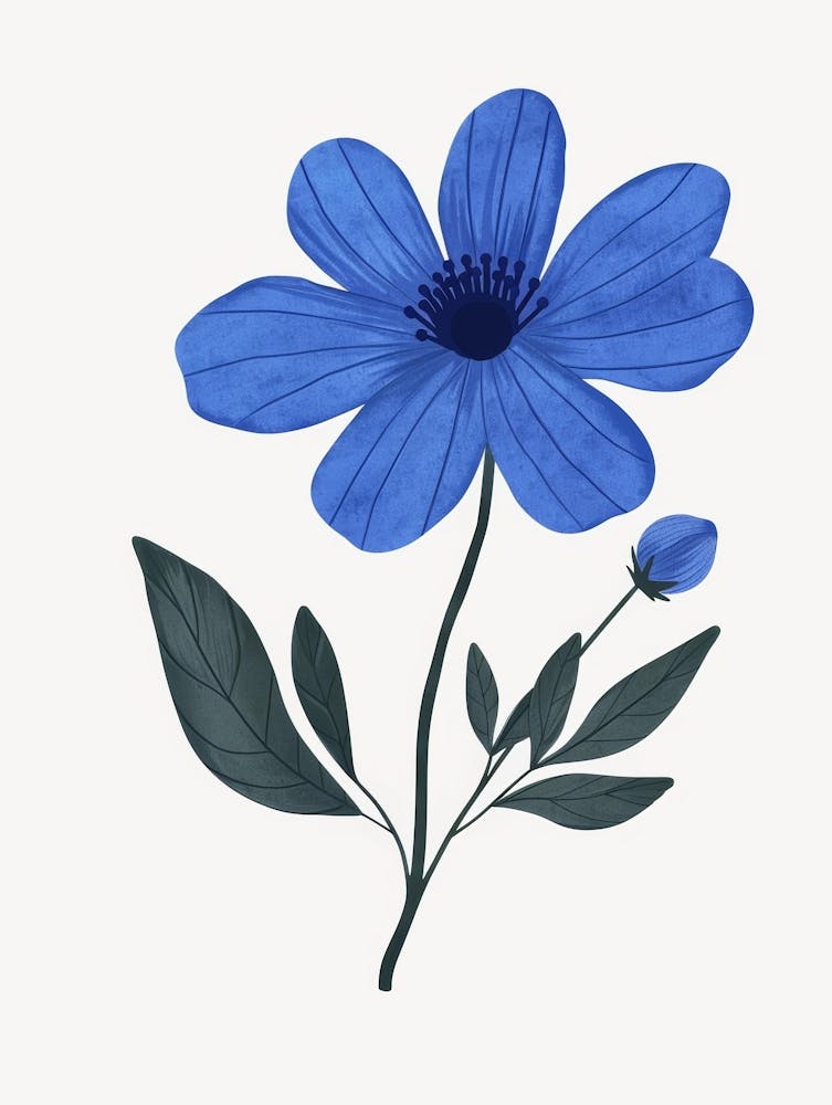 Blue Flower 11