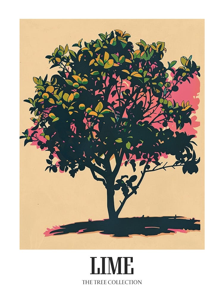 Lime Tree Colourful Illustration 3 Poster