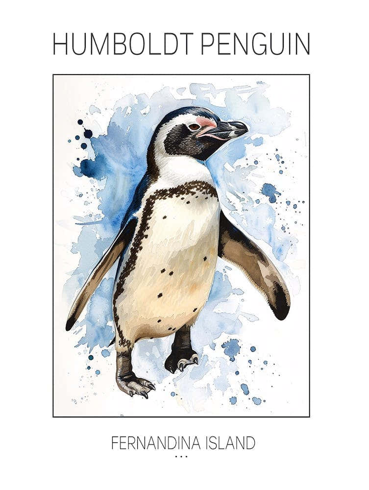 Humboldt Penguin Fernandina Island Watercolour Painting 2 Poster