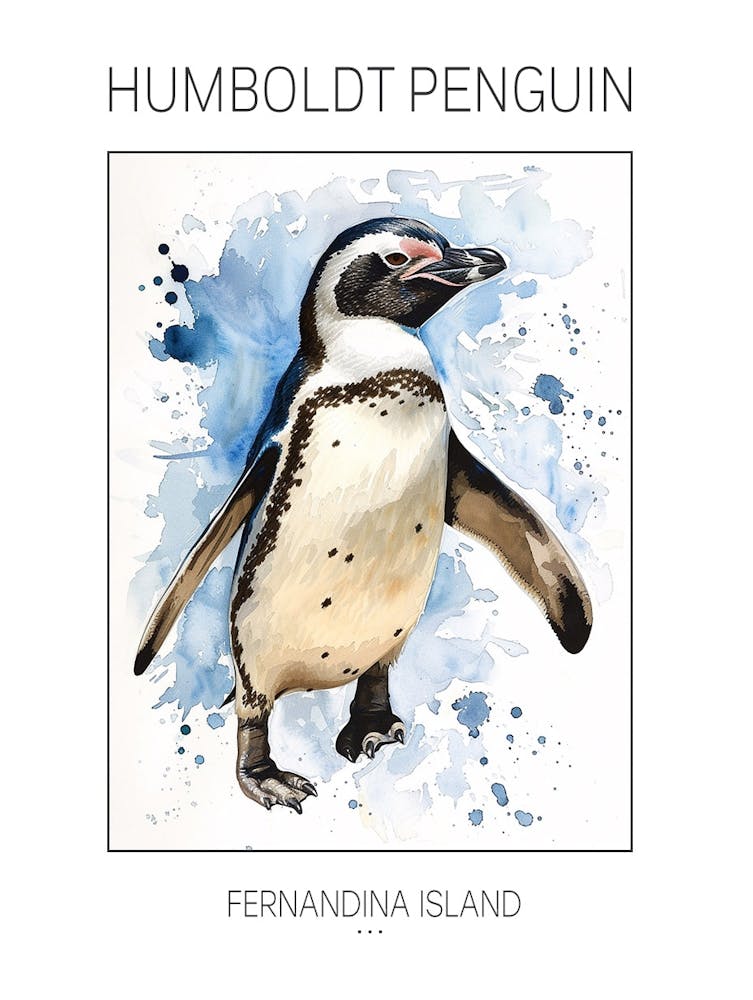 Humboldt Penguin Fernandina Island Watercolour Painting 2 Poster