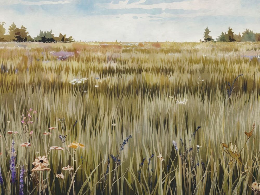 Field Of Wildflowers Meadow Painting, Watercolor Art