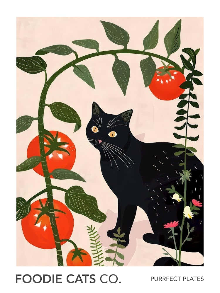 Foodie Cats Co Cat And Tomatoes 2