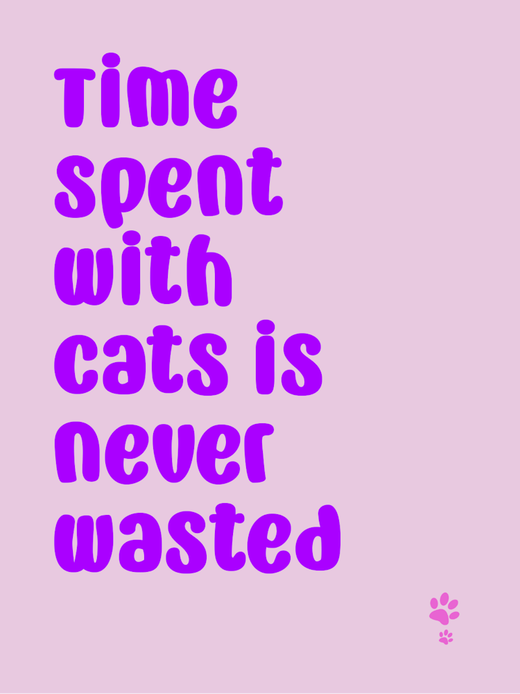 Time Spent With Cats Is Never Wasted