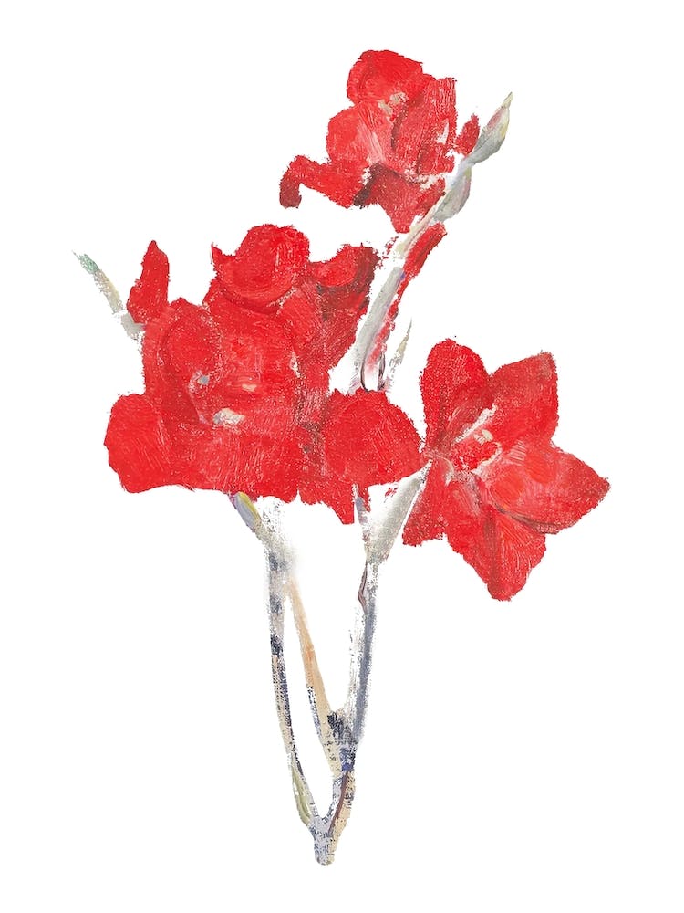 Ed Gladioli Sticker, Flower Illustration 1