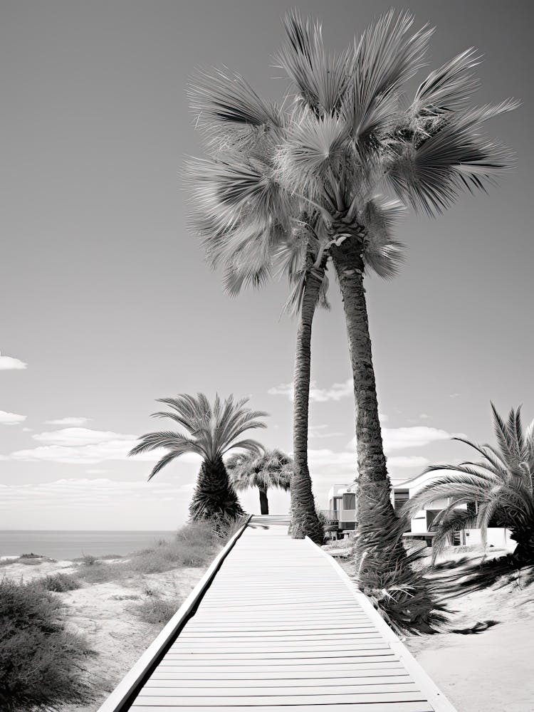 Algarve, Portugal, Photography In Black And White 1