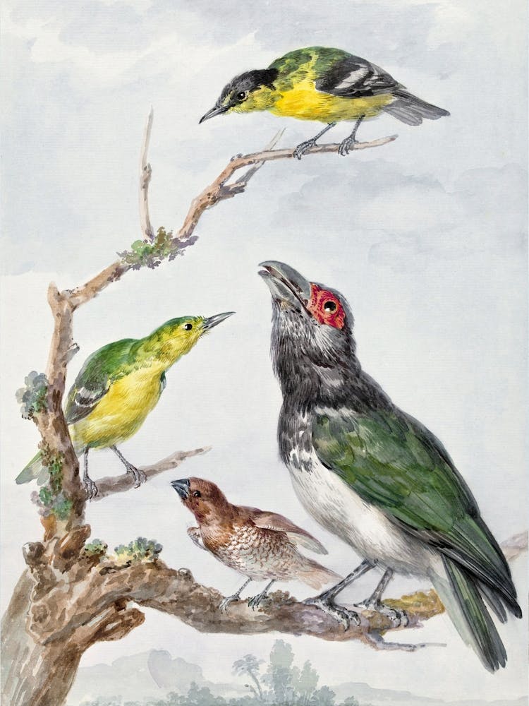 Vintage Bird_2835779